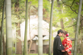 ピンクとグリーン