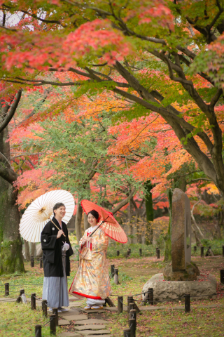 紅葉　ロケーションフォト