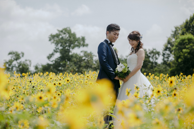 ひまわりの中で