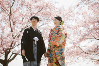 桜サウザンフォトウェディング