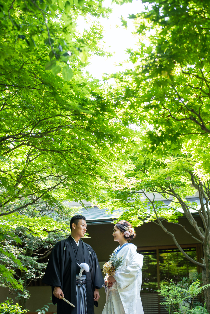 緑のトンネル・・・