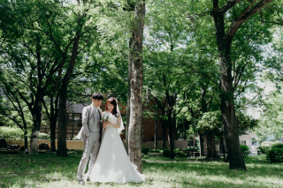 目白庭園と芝公園