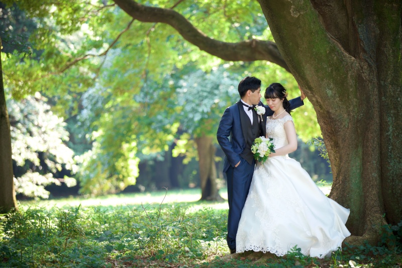 大きな木と...✴︎