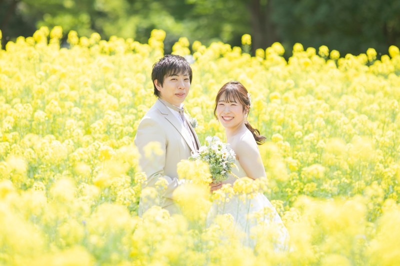 菜の花の中で
