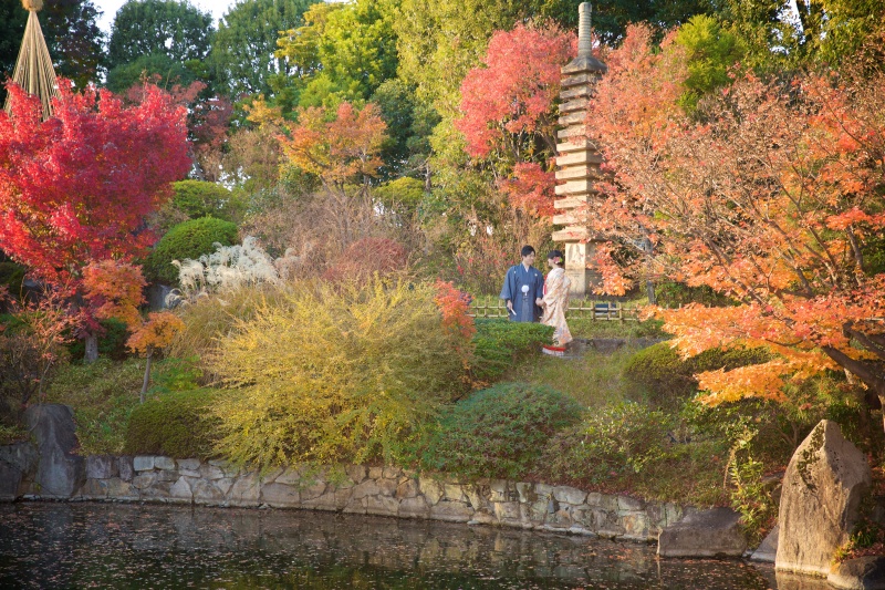 一面の紅葉