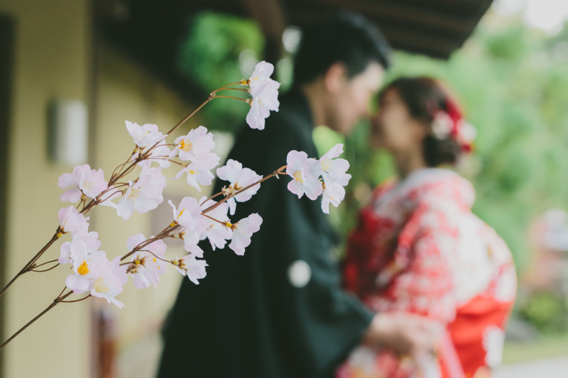 桜の後ろで・・