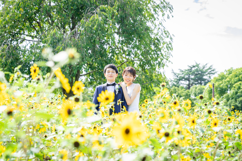 ひまわりの奥で♡