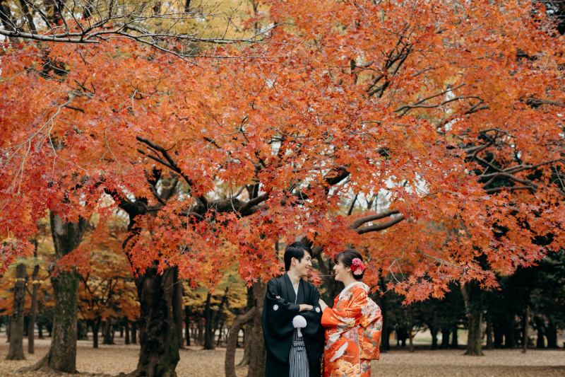 紅葉和装撮影＠代々木公園
