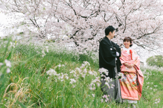 桜　和装ロケーション
