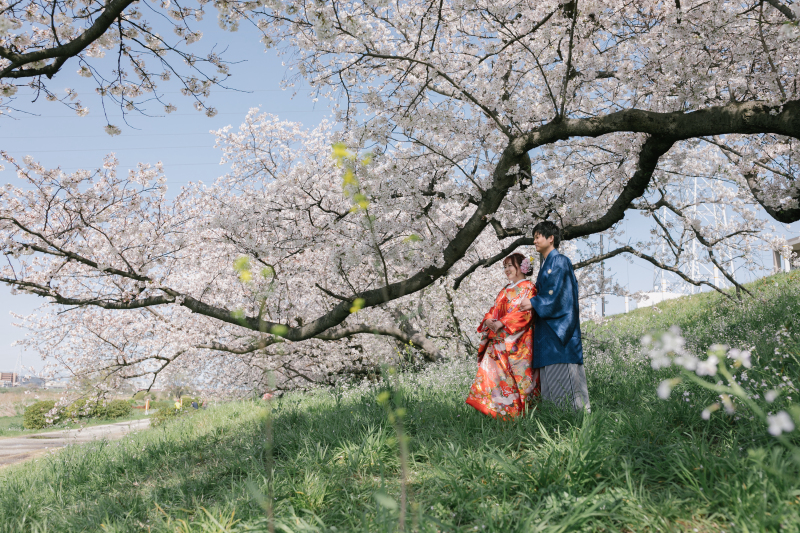 多摩川の大桜！！