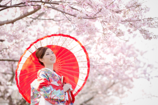 満開の桜の木の下で