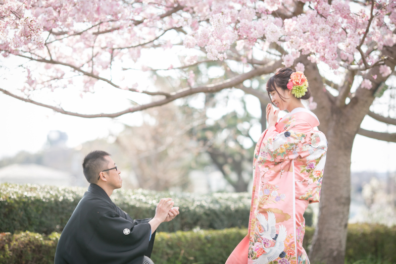 桜の下でプロポーズ
