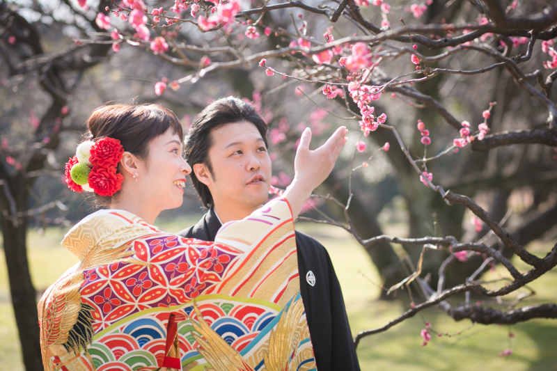 梅が咲いています