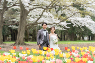 洋装撮影　砧公園