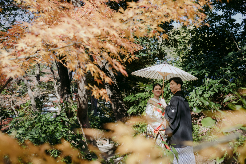 柔らかい雰囲気で