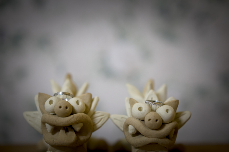 シーサーに見守られて