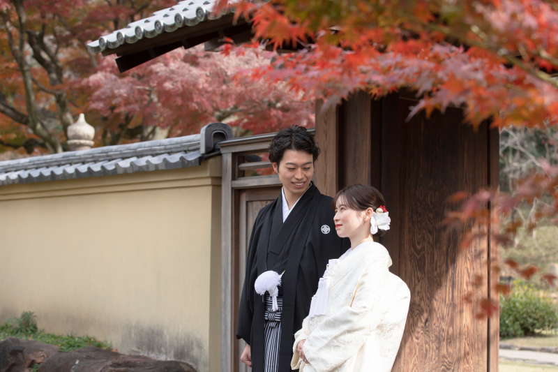 紅葉と