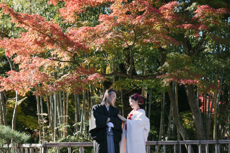 竹と紅葉✴︎