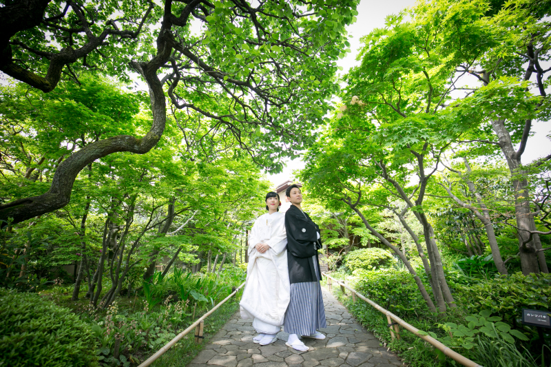 やっぱり新緑！