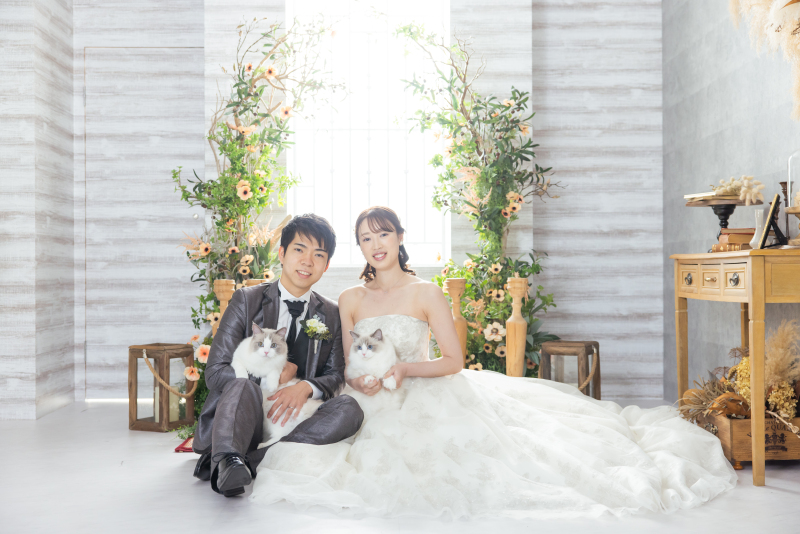 スタジオで猫ちゃんと撮影