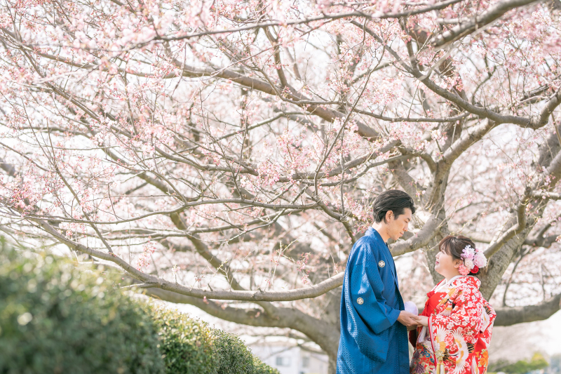 桜並木 和装