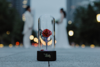 東京ナイトフォト