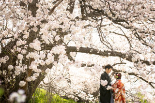 ONESTYLE 表参道_ドレス選びのポイント♡密着試着レポ