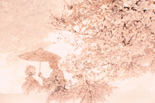 フォトグラファー指名（ロケーションフォト）