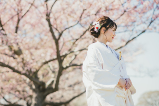 ドライフラワーヘッドパーツ