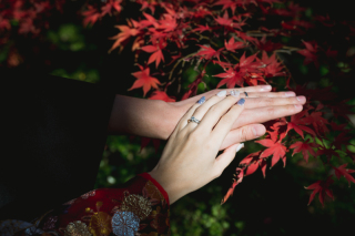 美肌補正（40カット）