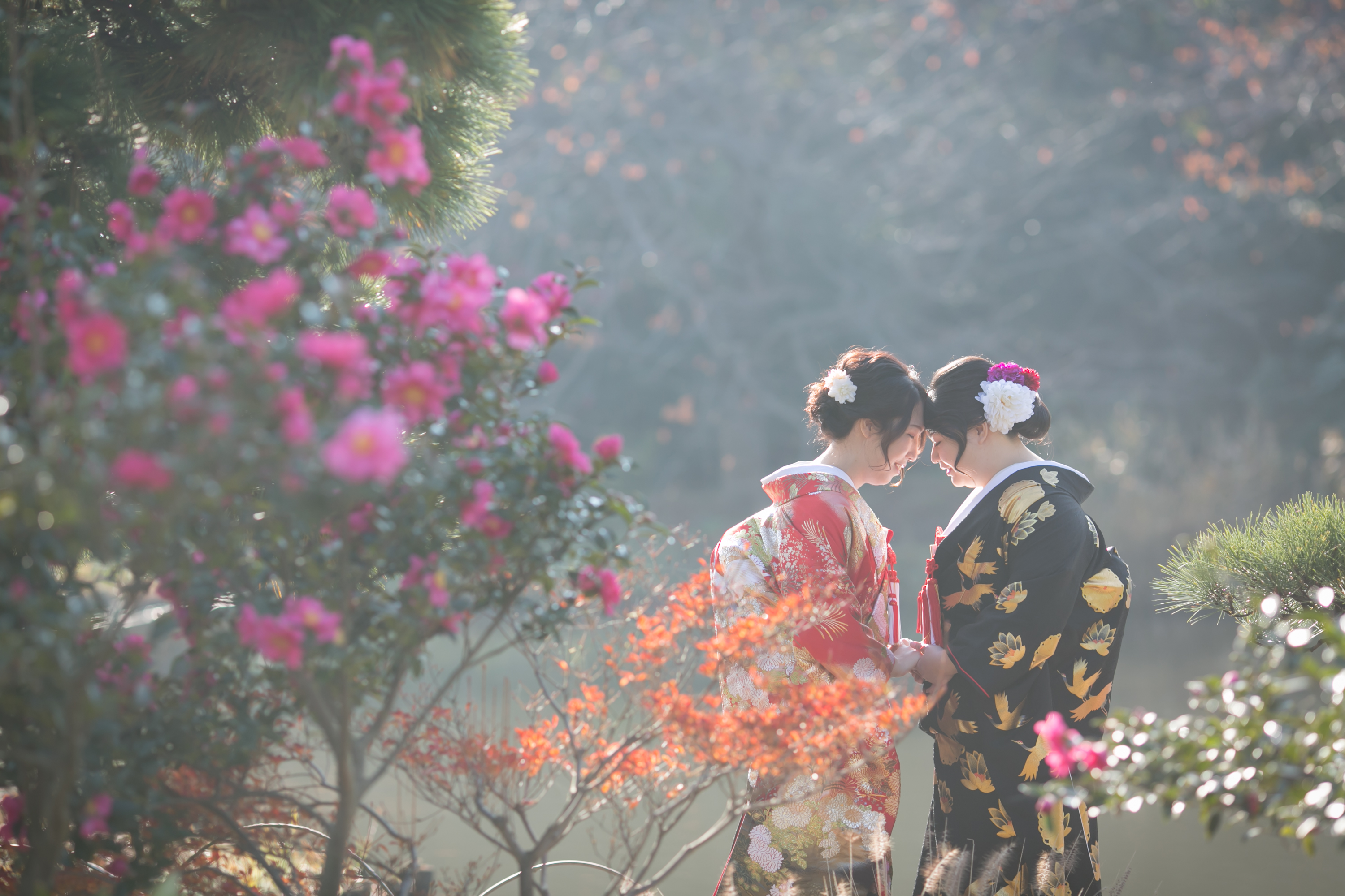 Point1 多彩な撮影シーン