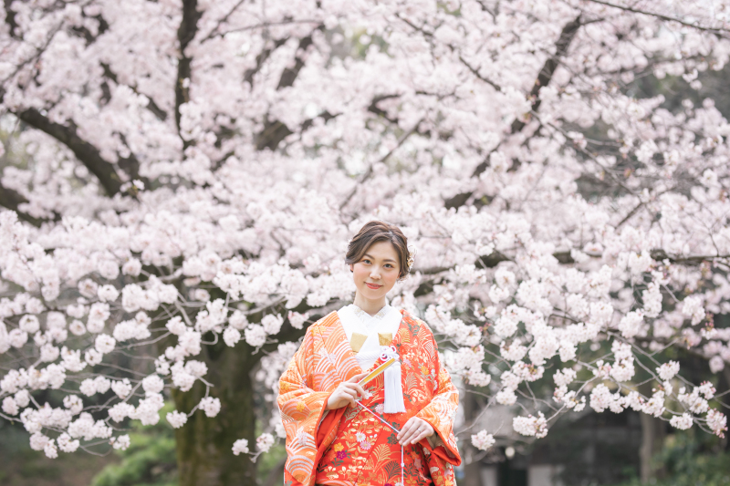 ONESTYLE 表参道_色打掛・着物が豊富