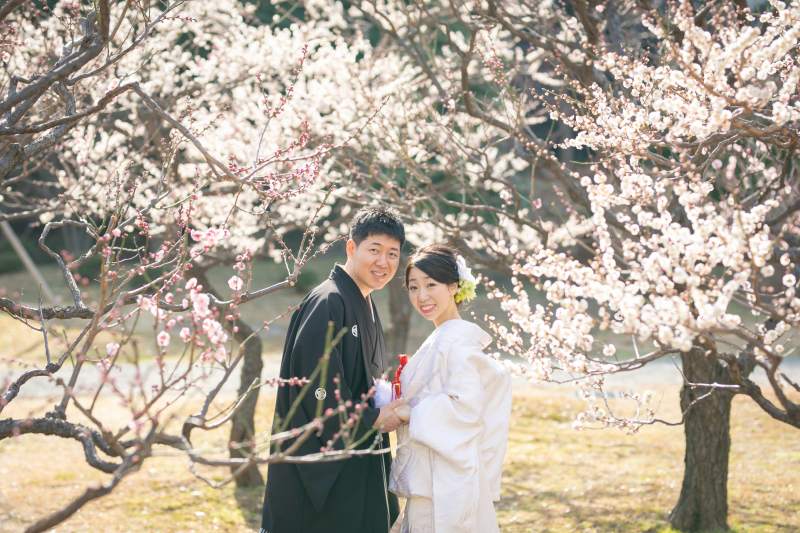 【1番人気!】和庭園+スタジオセットプラン