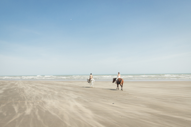 九十九里浜へ乗馬好きなお二人と出張撮影に行かせて頂きました。見たこともないくらい広大な海と砂浜という非日常感を活かして撮影しました。おふたりと一緒に旅をしながら撮影しているような感覚でした・・・!