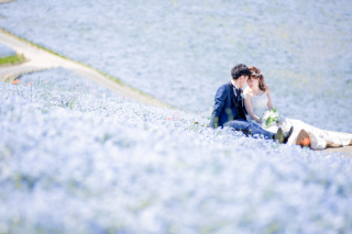 たくさんの観光客の方がいる、ひたち海浜公園のネモフィラの丘。まるでお2人だけがネモフィラに囲まれているように人が途切れた一瞬を逃さず残すことができました。周りに人がたくさんいるとは思えない1枚。