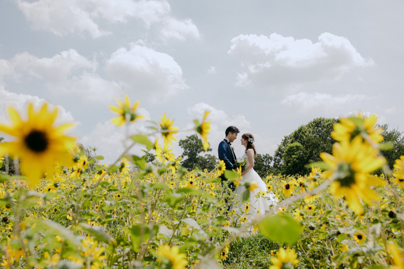 【ひまわりフォト】洋装「昭和記念公園」撮影プラン◆ヘアメイク・出張料・お支度場所手配料・全データ150cut付き
