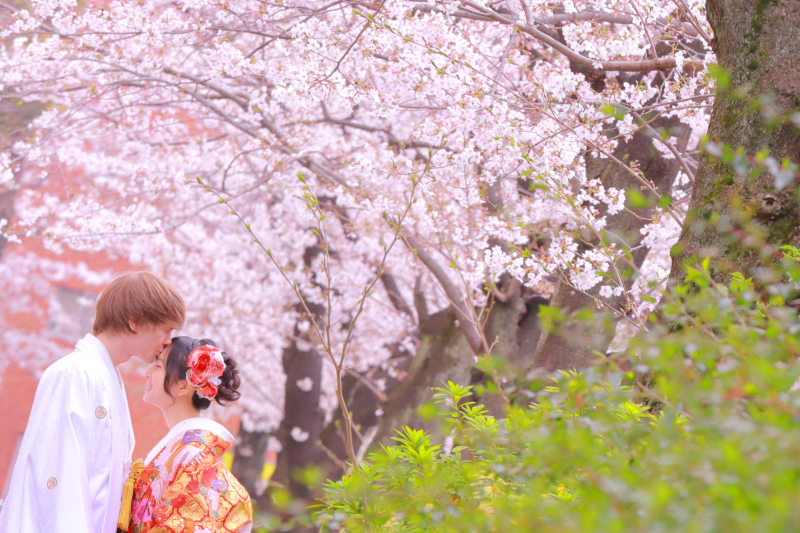 フォトスタジオプリンセス恵比寿 東京都でフォトウェディング探すならphotorait