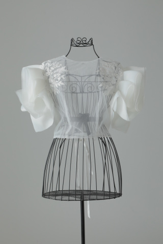 オプションガウン２