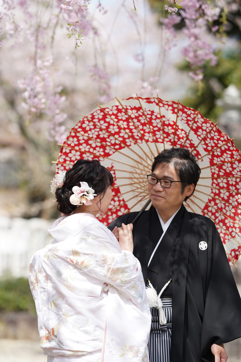 満開の枝垂れ桜