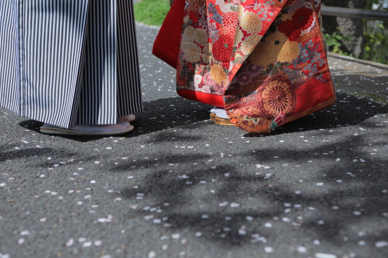 足元には花びらの海