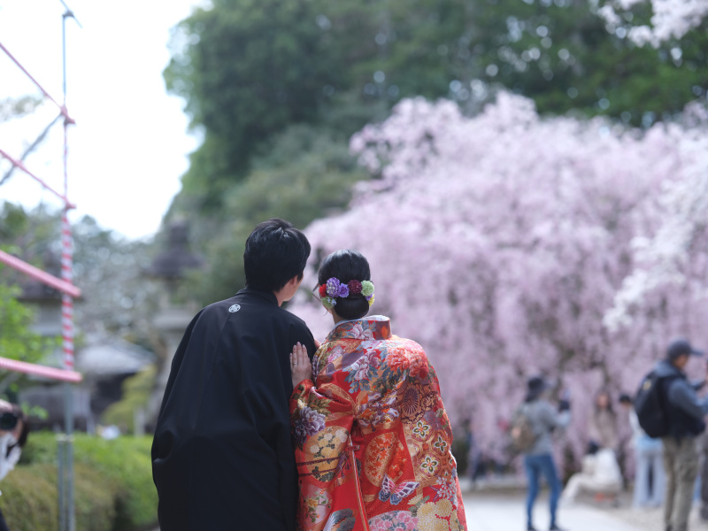 満開の桜、寄り添う二人・・・