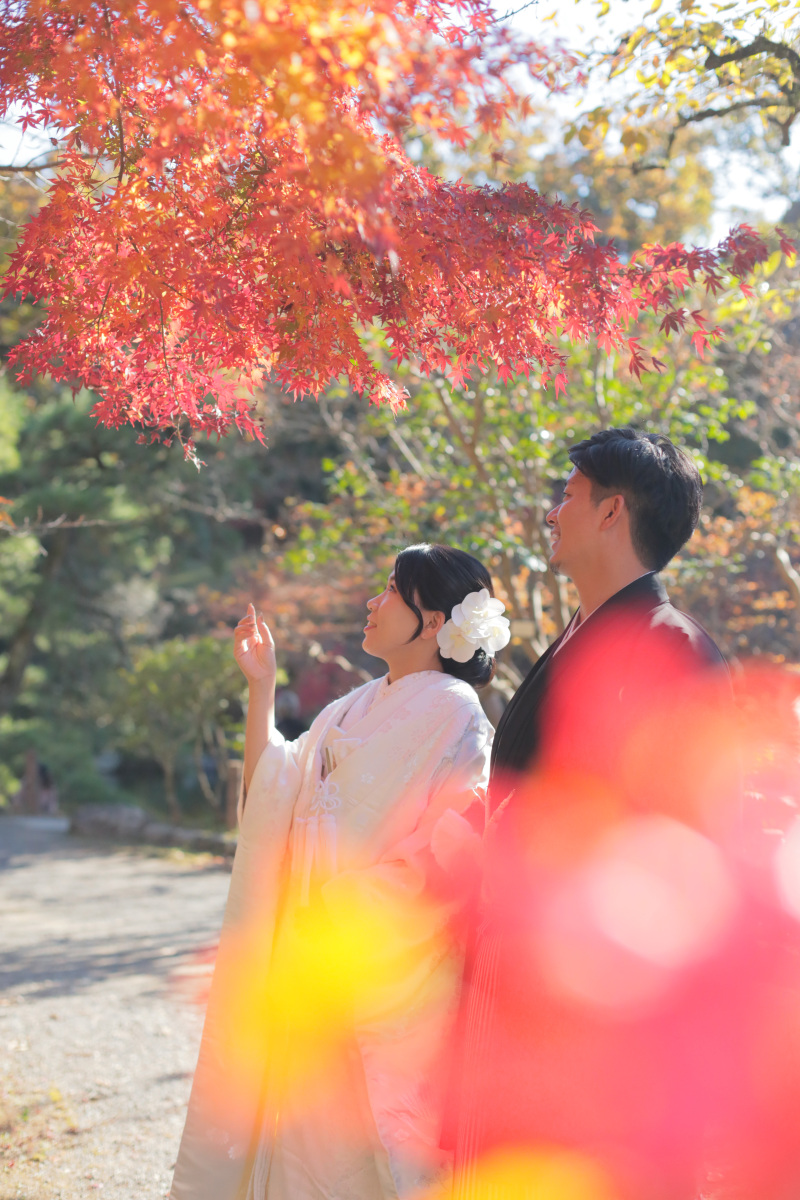 紅葉シーズン真っ只中