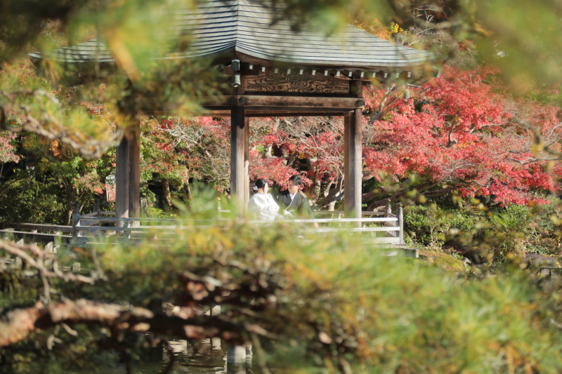 写真を見てびっくり!!