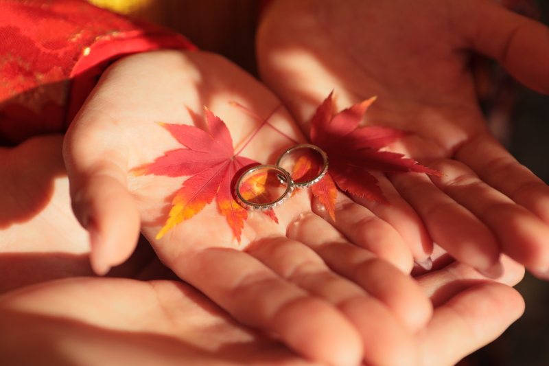 紅葉ロケーション撮影