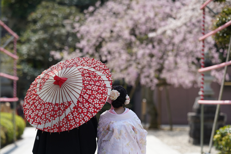 フォトスタジオプリンセス成田_神社・寺院で撮影できる