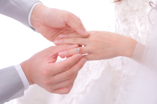 20カットデータ