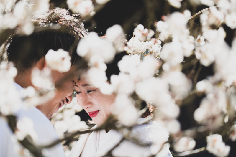 フォトスタジオプリンセス成田_神社・寺院で撮影できる