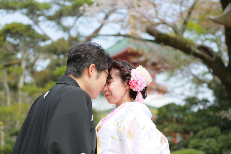 【成田山新勝寺ロケーション】本堂+公園プラン★和装1着≪アルバム+100枚以上の全データ+フォトボード付き≫