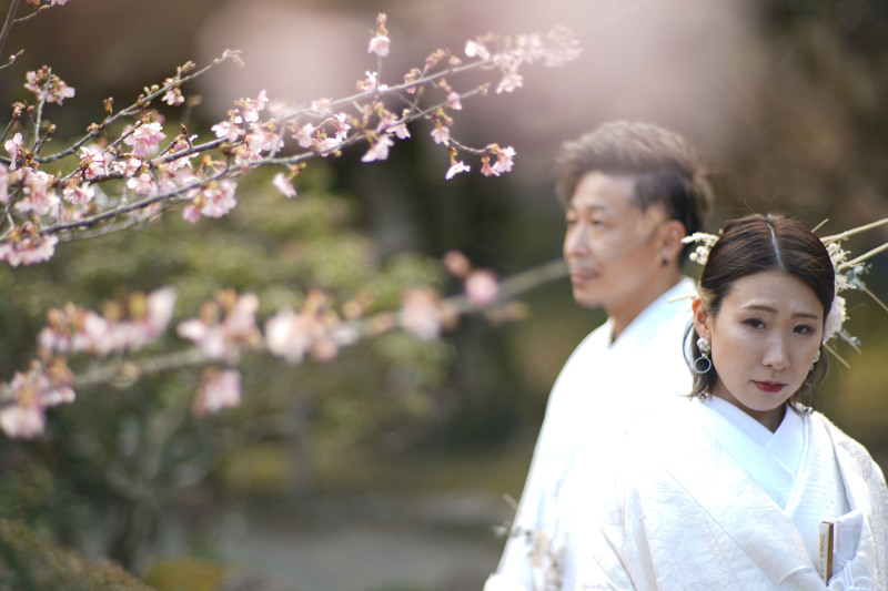 【成田山新勝寺ロケーション】本堂+公園プラン★和装1着≪アルバム+100枚以上の全データ+フォトボード付き≫