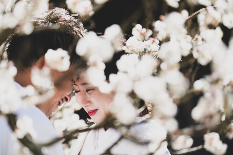 【成田山新勝寺ロケーション】本堂+公園プラン★和装1着≪100枚以上の全データ付き≫